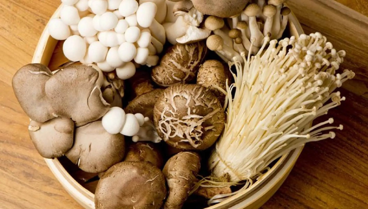 🍄 UGLY Mushrooms – Perfectly Imperfect! 🍄  grown locally