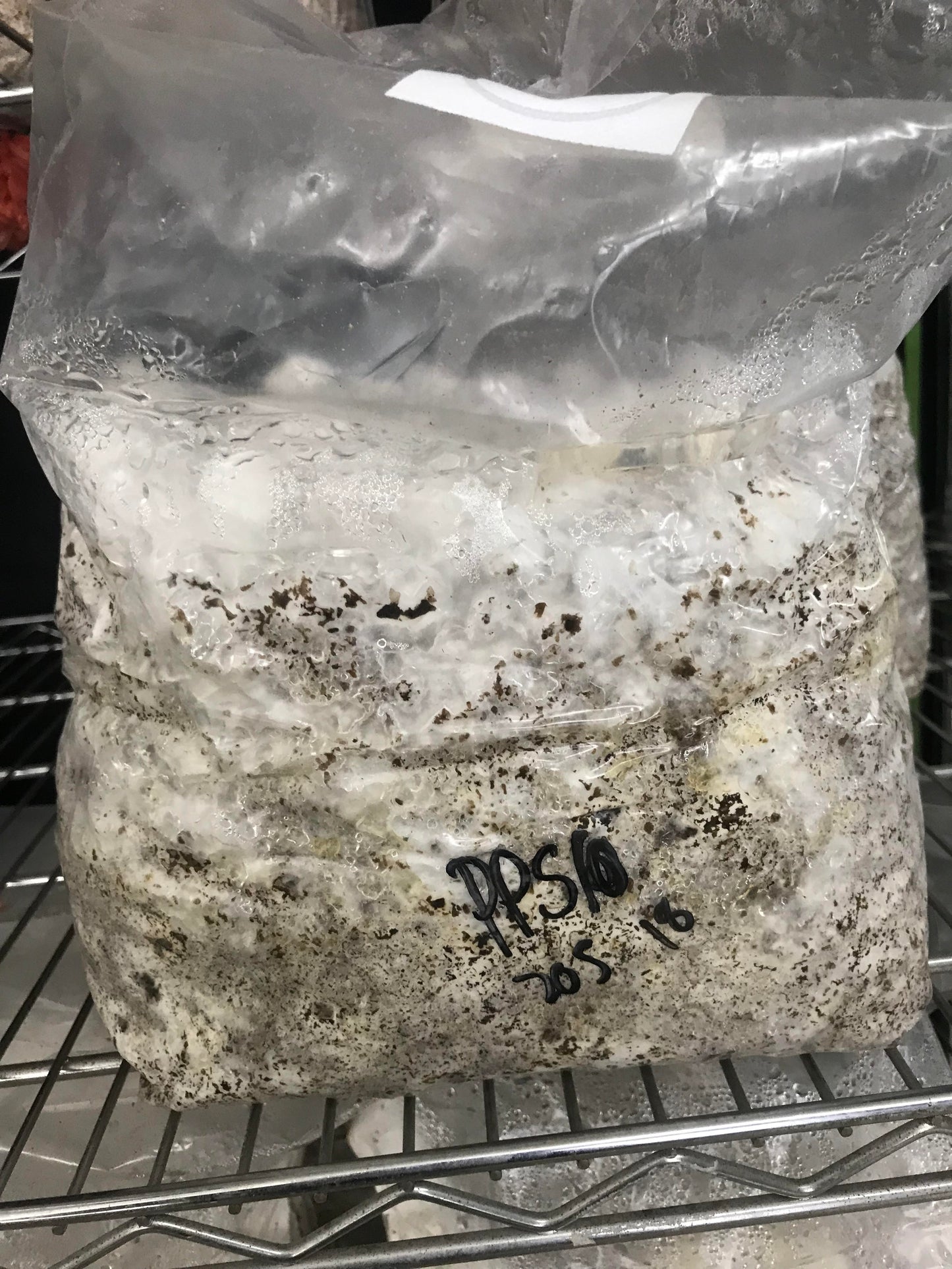 Grower’s Blocks – Delivered to Your Door - ✦ HOME DELIVERY ONLY ✦