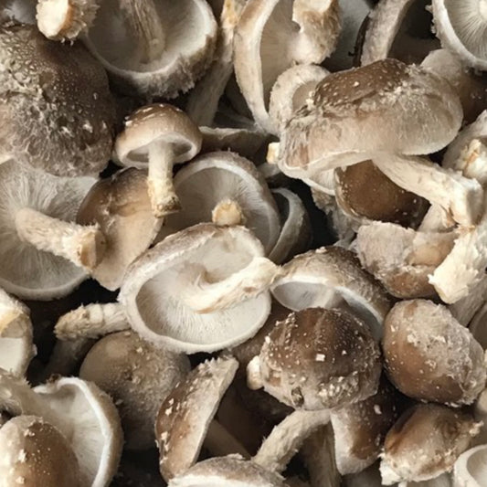 INXESS Shiitake 500g (Limited Drop)