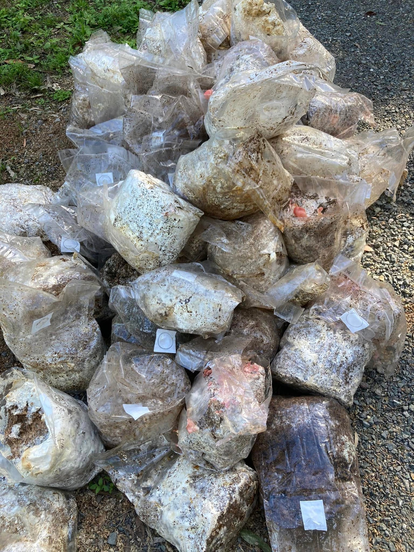 Whole Used Blocks (Sold in 10 packs)  | made locally