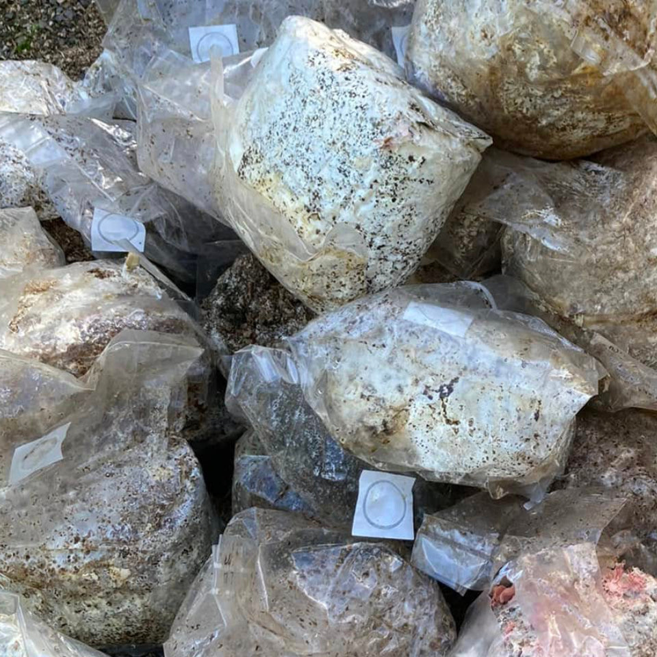 Whole Used Blocks (Sold in 10 packs)  | made locally