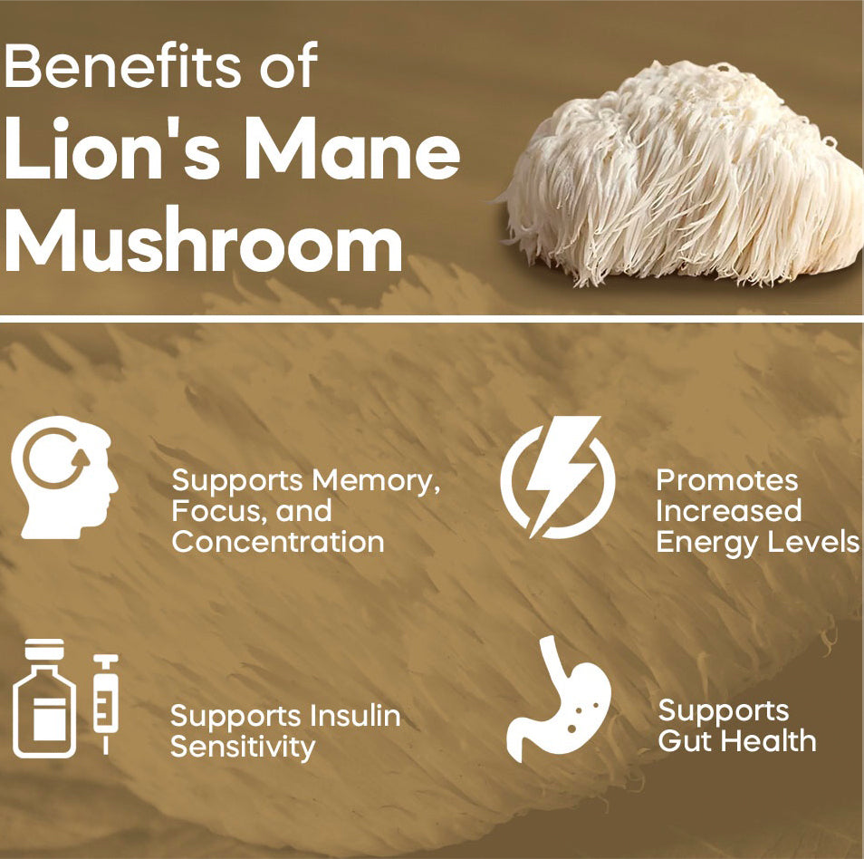 Lion's Mane Mushroom Grow Kit - made in Melbourne